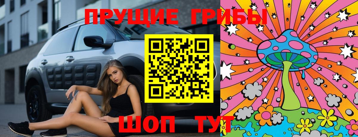 Псилоцибиновые грибы Psilocybe Златоуст