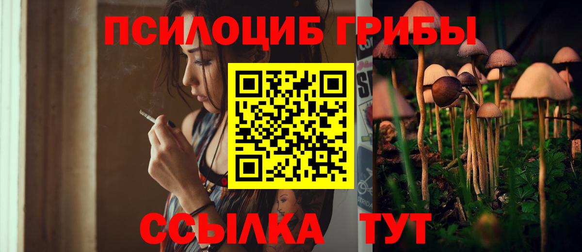 Псилоцибиновые грибы MAGIC MUSHROOMS  Вход с VPN  Златоуст 